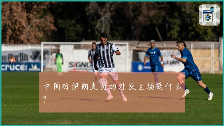 中国对伊朗支持的外交立场是什么？