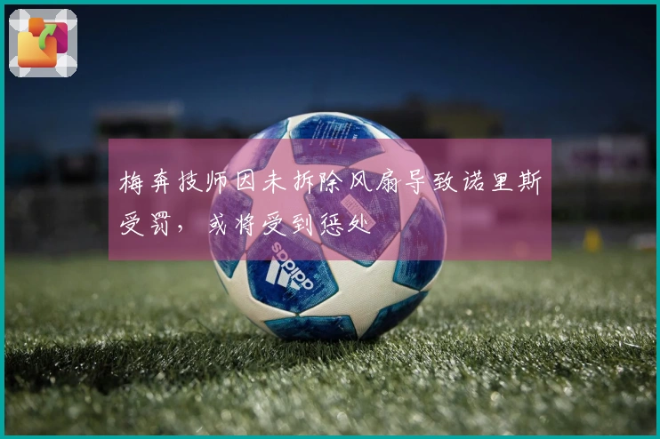 梅奔技师因未拆除风扇导致诺里斯受罚，或将受到惩处